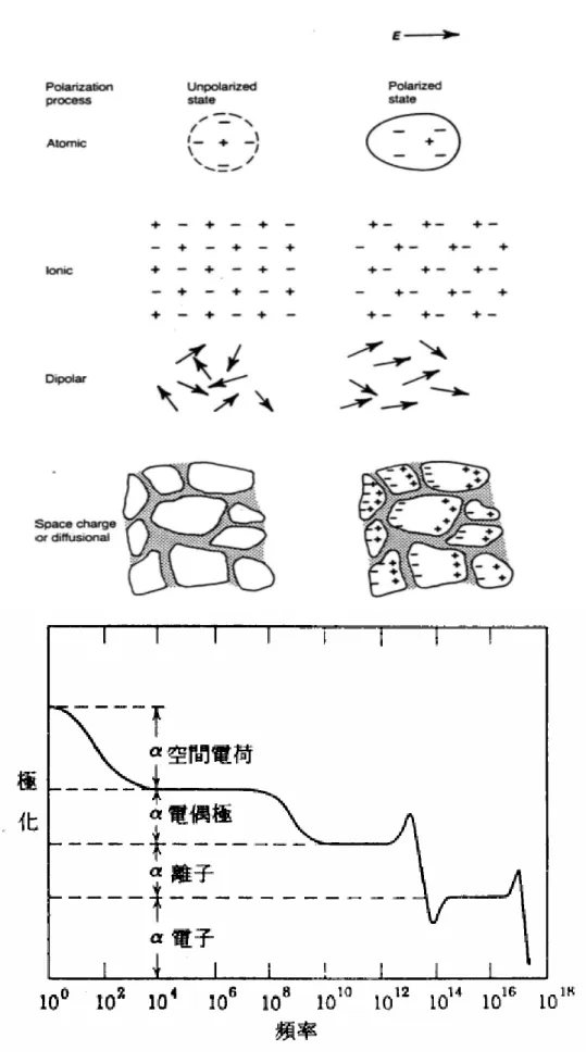 圖 2-3  極化機制與頻率的依存關係 [11] 