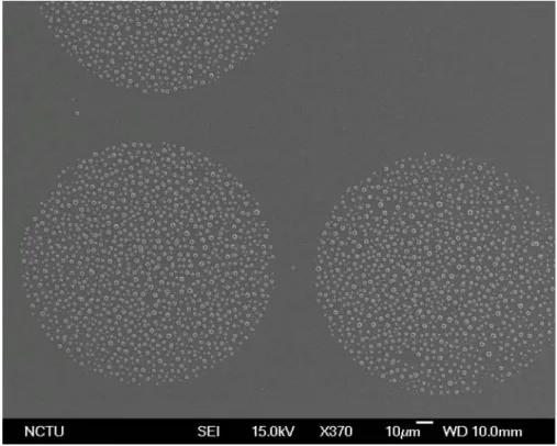 圖 4.2-1；450℃退火 3 小時，370X 二次電子影像 