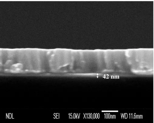 Fig. 3-3  SEM picture of 42-nm-thick HfN diffusion barrier 