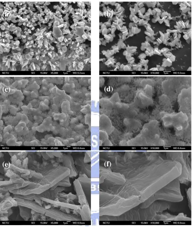 Fig. 4-1 SEM morphologies of the films deposited with 5mM zinc acetate precursor  under 5℃, 3 hrs and different amount of surfactant: (a) 0 mg, (c) 14.4 mg, and (e) 28.8 