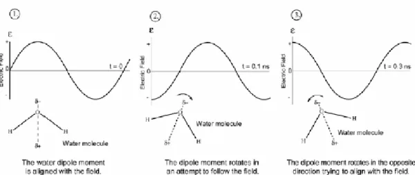 Fig. 2-3 Molecules try to align to the microwave field. 