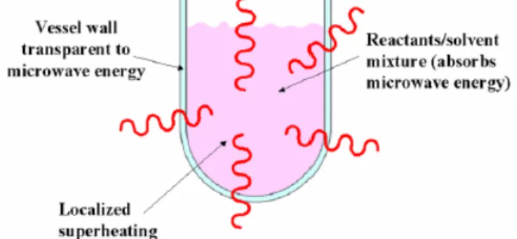 Fig. 2-5 Schematic diagram of the microwave heating. 