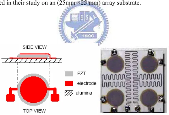 Fig. 2-6 Structure of a RPL sensor.          Fig. 2-7 RPL array sensor.