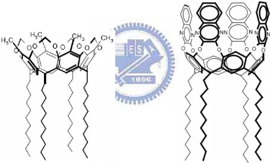 Fig. 2-8 Host molecule of Me-Cav.                       Fig. 2-9 Host molecule of Qx-Cav.