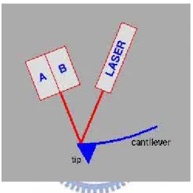 Fig. 3-2 The working principle of AFM. 