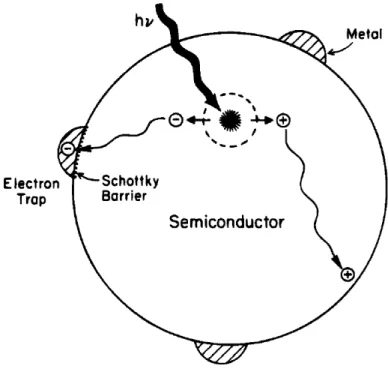 Figure 2-4 Schottky barriers on the surface of metal-semiconductor particle. [19] 