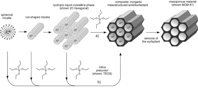 Figure 2-8 Two possible pathways for the liquid-crystal templating mechanism of MCM-41