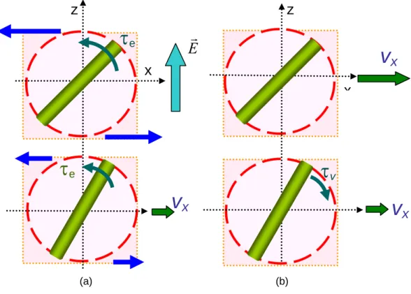 Figure 2.3    The liquid crystal director under an external electric field.    The director rotates by the electric  field and induces the movement of the center of mass of the director