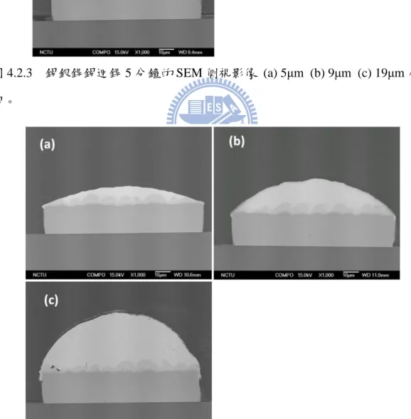 圖 4.2.4  錫銀銲錫迴銲 10 分鐘的 SEM 側視影像  (a) 5μm (b) 9μm (c) 19μm 厚 銲錫。 
