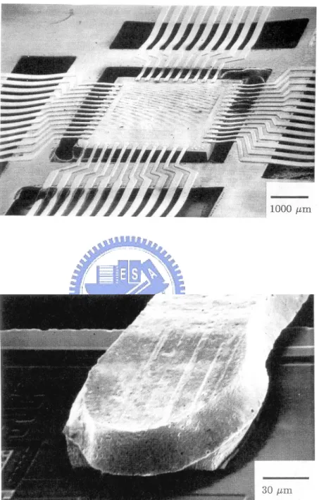 Figure 1-3: (a) Scanning electron micrograph (SEM) of a TAB inner lead bonding. 