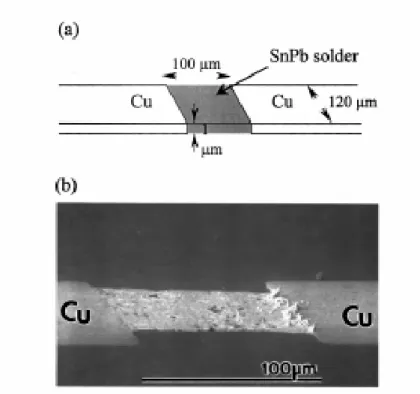 Figure 2-5: (a) Schematic picture of the eutectic SnPb solder thin stripe sample. (b)  The SEM image of an solder stripe after stressing 
