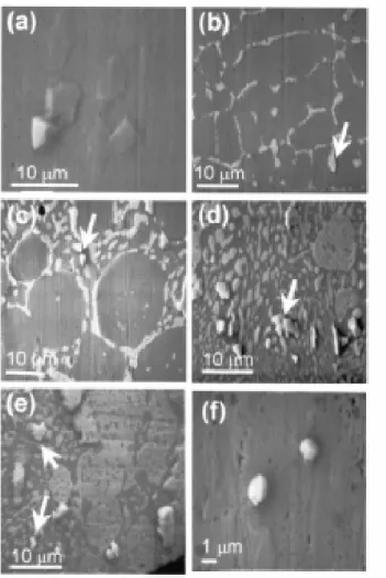 Figure 2-6: Hillock formation of as-prepared Sn-Pb alloys after 40 h current  stressing at ambient temperature: (a) pure Sn; (b) Sn80Pb20; (c) Sn70Pb30; (d)  eutectic SnPb; (e) Sn40Pb60; (f) Sn5Pb95