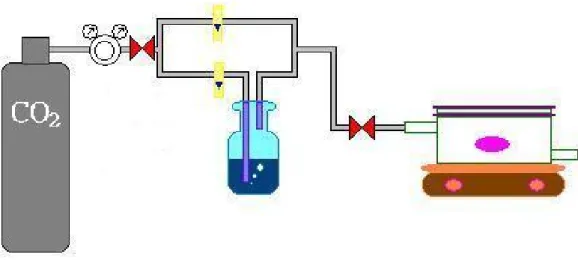 Figure 3-2 An apparatus design for photocatalytic reduction of CO 2 .   