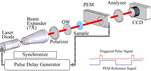 圖 5-1  影像式穆勒矩陣偏光儀系統  為了提升二維量測的精確度，我們引用偏振態的極分解將系統的 偏光特性逐一分開，以提升量測的精確度。      我們以穆勒矩陣偏光儀量測長葉九宮隨著時間散失水分的過程。 Beam  Expander (7X) PolarizerAnalyzer CCD 