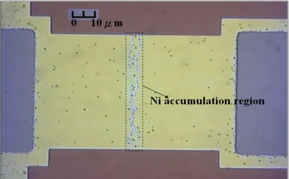 Fig. 2.2(a) The top view of test key after MILC process. 