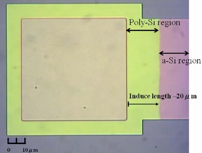 Fig. 2.3 The top view of test key after NSILC process. 