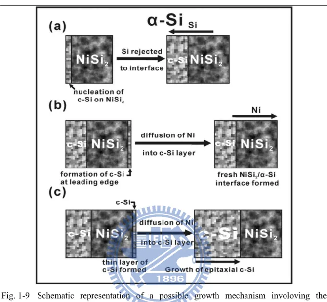 Fig. 1-9  Schematic representation of a possible growth mechanism involoving the  formation of a thin layer of c-Si at the NiSi 2 /α-Si interface 