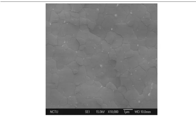 Fig. 2-3  SEM images of Secco-etched poly-Si grains irradiated by CW laser with  CLC-5.0 W 