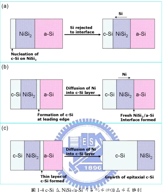 圖 1-4 c-Si 在 NiSi 2 /a-Si 介面形成的結晶成長機制 