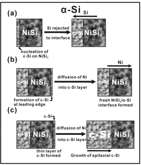 Fig. 1-8  Schematic representation of a possible growth mechanism involoving the formation  of a thin layer of c-Si at the NiSi 2 /α-Si interface