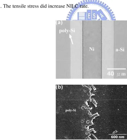 Fig.  2-4   (a)  Optical  microscopy  image  of  BENDED  sample annealed at  550°C  for  6  h