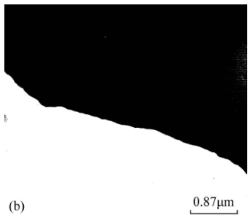 Figure  6.  Electron  micrographs  of  the  alloy  aged  at  750℃  for  6  hours.  (a)  BF,  (b) 