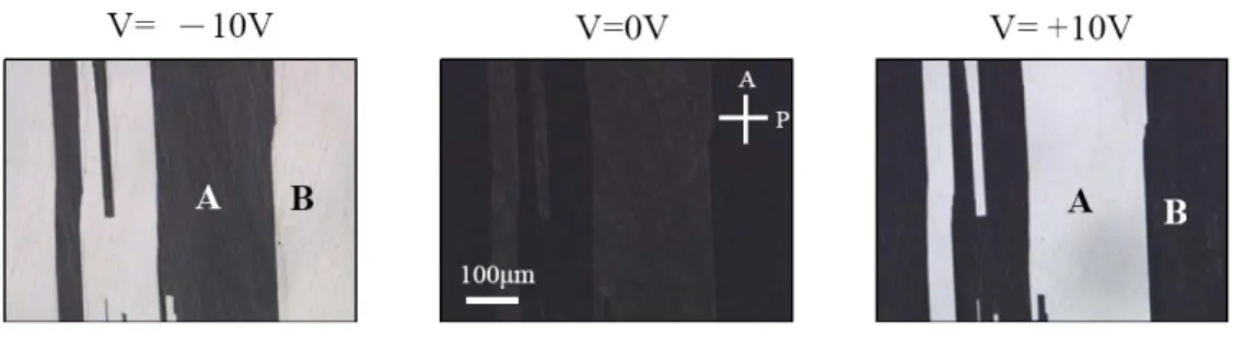 Fig 2.5 Microscopic pictures of multi-domain cell and its response to electric field.