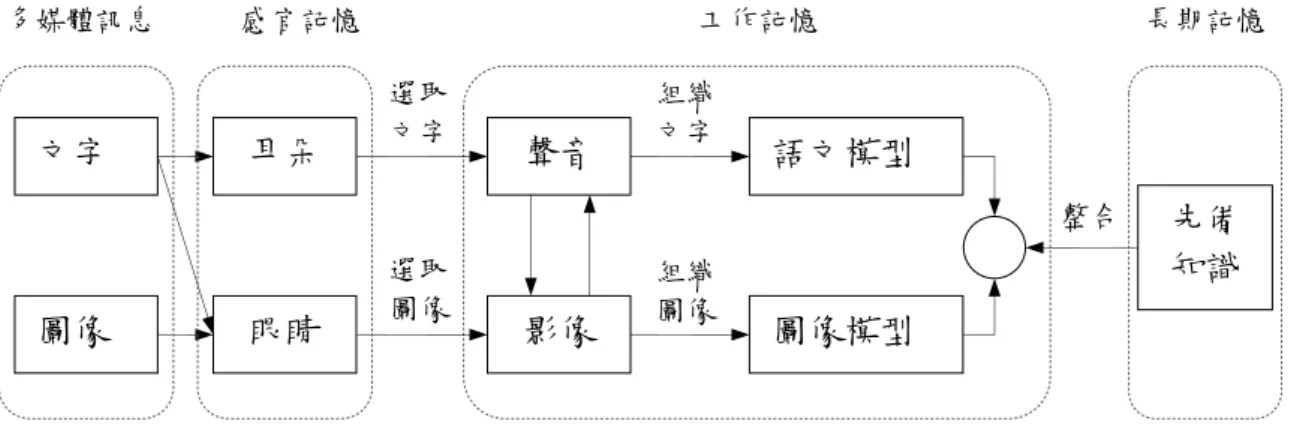 圖  5  多媒體學習認知模型 