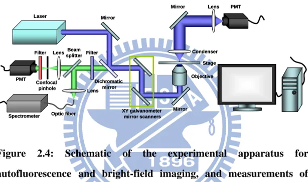 Figure 2.4: Schematic of the experimental apparatus for  autofluorescence and bright-field imaging, and measurements of  emission spectra of living animals and the hepatocytes