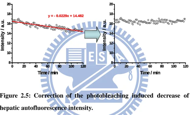 Figure 2.5: Correction of the photobleaching induced decrease of  hepatic autofluorescence intensity