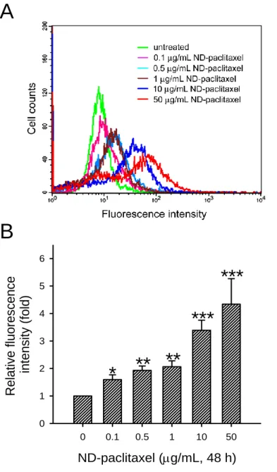 Figure  2. Uptake  ability  of ND-paclitaxel  in  human  lung  carcinoma  cells.  (A)  A549  cells  were treated with  0-50 μg/mL  ND-paclitaxel  for 48 h