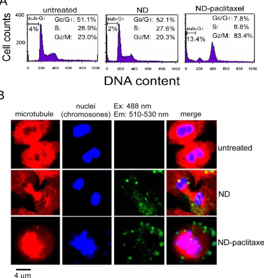 Figure  5.  Effect  of  ND-paclitaxel  on  the  cell  cycle  progression  in  human  lung  carcinoma cells