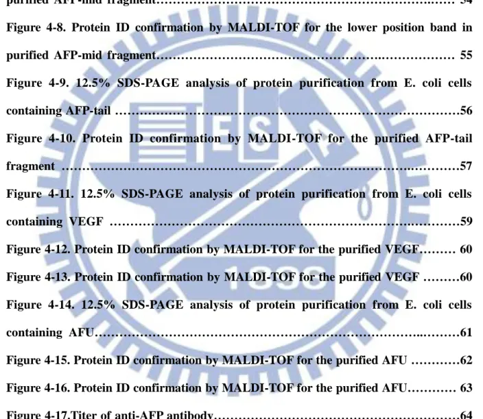 Figure 4-4. Agarose gel analysis of restriction enzyme mappi ng pET28a- AFP-mid… 49  Figure 4-5