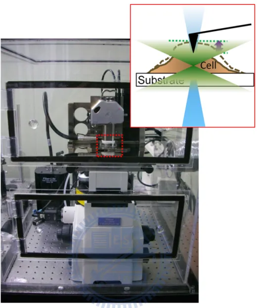 Figure 5  Photograph of the apparatus.   