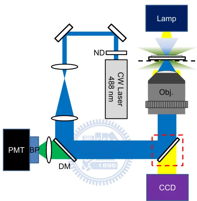Figure 6  Schematic of fluorescent detection of intracellular Ca 2+  ions.   