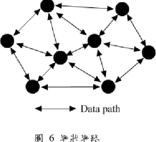 圖  6  網狀網路 