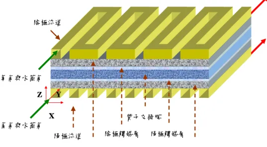 圖 2-1 質子交換膜燃料電池物理模型，單蛇形流道未加擋板設計  圖 2-2 質子交換膜燃料電池物理模形 Type I，在陰極流道第一條流道     位置(y=0.11m)加入擋板 陽極流道陰極流道陰極氣體擴散層 陽極氣體擴散層質子交換膜XYZ陰極觸媒層陽極觸媒層氫氣與水蒸氣氧氣與水蒸氣陽極流道陰極流道陰極氣體擴散層陽極氣體擴散層質子交換膜XYZ陰極觸媒層陽極觸媒層氫氣與水蒸氣氧氣與水蒸氣1mmXZ氫氣與水蒸氣氧氣與水蒸氣Y擋板陽極流道陰極流道質子交換膜陰極觸媒層陽極觸媒層1mmXZ氫氣與水蒸氣氧氣與水蒸氣