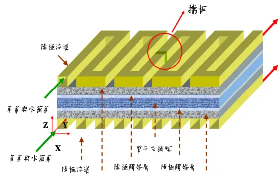 圖 2-3 質子交換膜燃料電池物理模形 Type II，在陰極流道第一條流道 位置(y=1.31m)加入擋板  圖 2-4 質子交換膜燃料電池物理模形 Type III，在陰極流道第一條流 道位置(y=2.75m)加入擋板  擋板XYZ氫氣與水蒸氣氧氣與水蒸氣陽極流道陰極流道質子交換膜陰極觸媒層陽極觸媒層擋板XYZ氫氣與水蒸氣氧氣與水蒸氣XYZ氫氣與水蒸氣氧氣與水蒸氣陽極流道陰極流道質子交換膜陰極觸媒層陽極觸媒層擋板XZY氫氣與水蒸氣氧氣與水蒸氣陽極流道陰極流道質子交換膜陰極觸媒層陽極觸媒層擋板XZY氫氣與