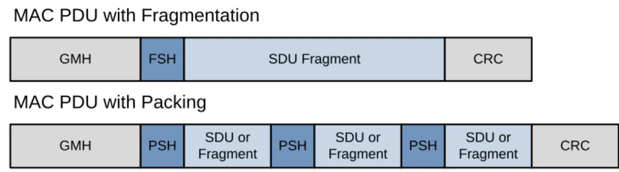 Figure 2-3 shows examples of the ordering of data fragments and sub-headers. 