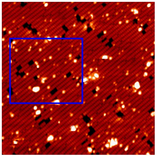 圖 3.2   11.52 L Cl on Si(100)-2×1：H，圖中亮點為 Cl 原子，取圖的區域為 30 ×                      30 nm 2 ， STM的偏壓和回饋電流分別為V s a m p l e   = -2.8V、  