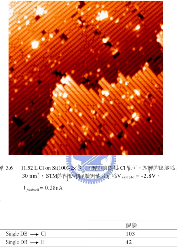 圖 3.6   11.52 L Cl on Si(100)-2×1：H，圖中亮點為 Cl 原子，取圖的區域為 30 ×    feedback 。                       個 數                    30 nm2， STM的偏壓和回饋電流分別為Vs a m p l e   = -2.8V、               ΙΙ= 0.28nA        Single DB          Cl                      103        Singl