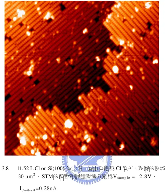 圖 3.8   11.52 L Cl on Si(100)-2×1：H，圖中亮點為 Cl 原子，取圖的區域為 30 ×                      30 nm 2 ， STM的偏壓和回饋電流分別為V s a m p l e   = -2.8V、                 Ι feedback Ι =0.28nA  。                       個 數         Single DB          Cl                      122      