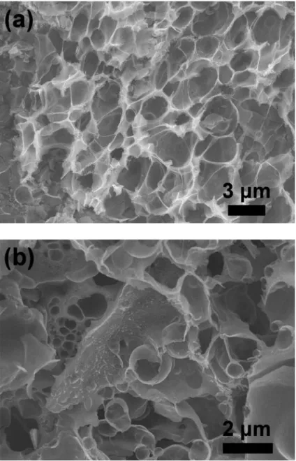 Figure  4.3  SEM  images  for the as-synthesized (a) La 0.6 Ca 0.4 Co 0.8 Ru 0.2 O 3   and (b)  La 0.6 Ca 0.4 CoO 3 