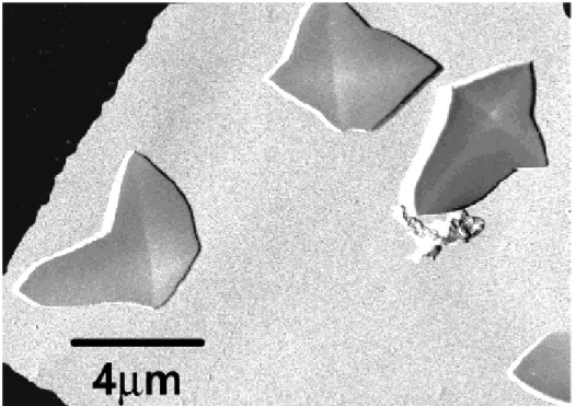 Figure 1-9. Transmission electron micrographs of crystals of cyclopentyl-norbornyl  monomer (Gold shadowed)
