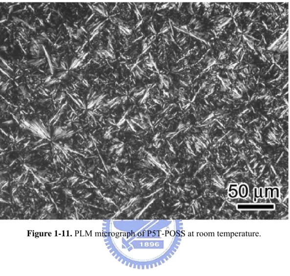 Figure 1-11. PLM micrograph of P5T-POSS at room temperature.   