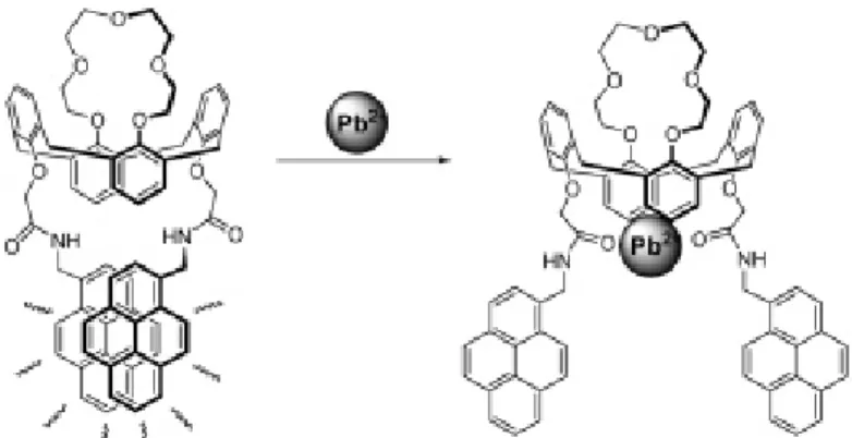 Figure 1-19. Effect of added Pb 2+  on the fluorescence emission spectra in MeCN. 
