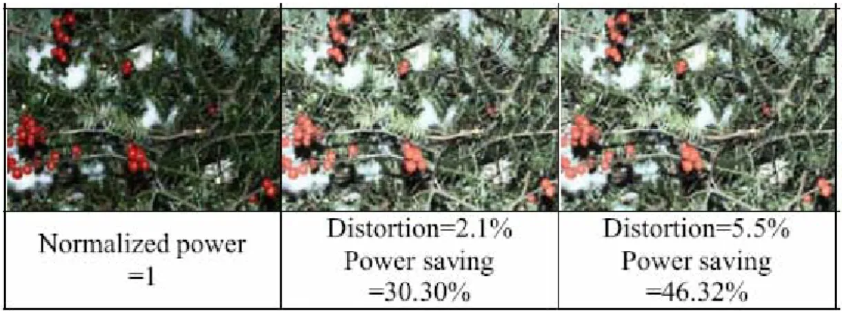 Fig. 2-3    The results of sample images and corresponding transformed versions. 