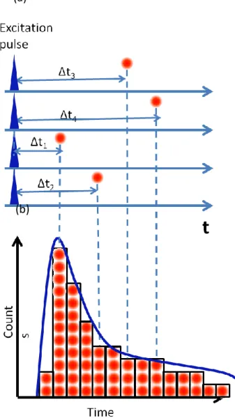 Figure  4.2  Principle  of  TCSPC.  (a)  Variation  of  an  arriving  time  of  emitted  photon  from  fluorophore  and  (b)  a  histogram  constructed  from  the  photons  came after the excitation pulse