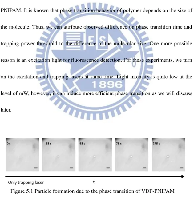 Figure 5.1 Particle formation due to the phase transition of VDP-PNIPAM  induced by trapping laser in H 2 O solution