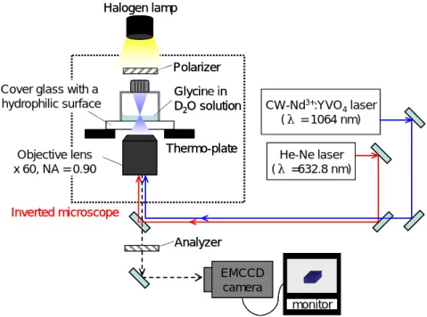 Figure 3 shows a schematic illustration of the optical trapping system in this experiment